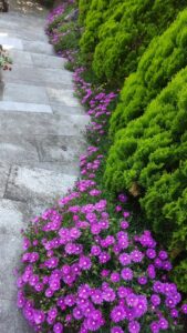 S__3343444_0-min