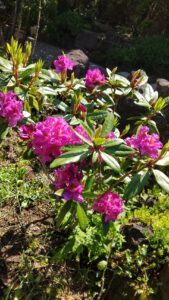 S__3343446_0-min