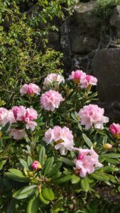 S__3343455_0-min
